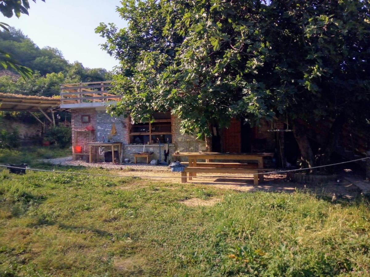 The House In The Village Pellumbas Экстерьер фото