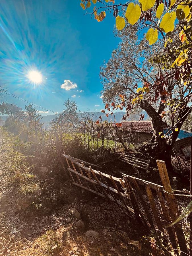 The House In The Village Pellumbas Экстерьер фото