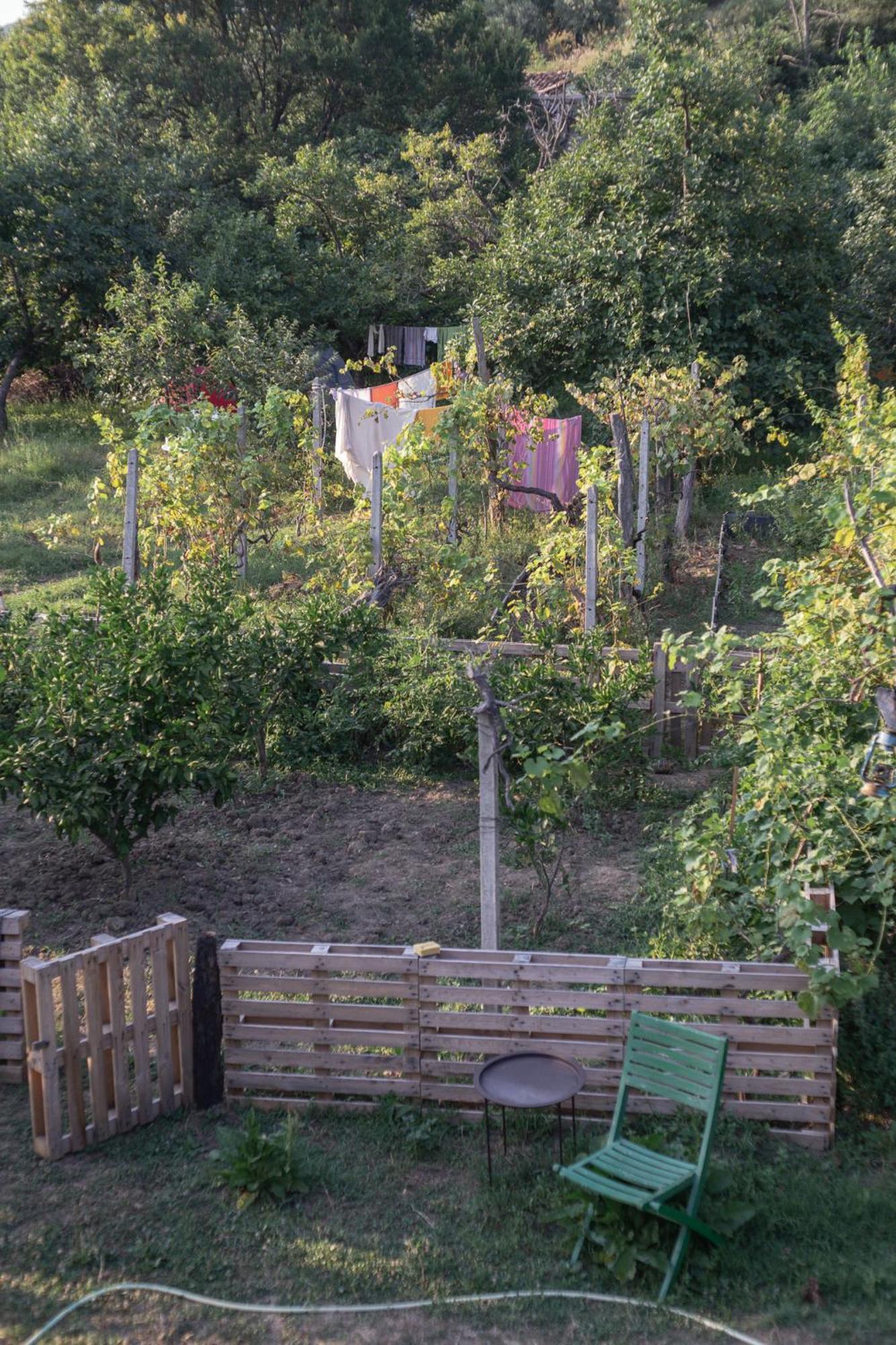 The House In The Village Pellumbas Экстерьер фото