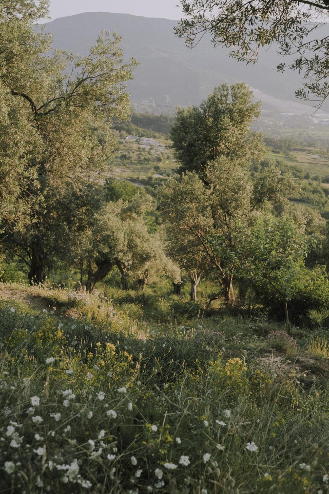 The House In The Village Pellumbas Экстерьер фото